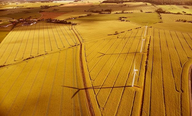 Federal Assistance for Farmers: Grants and Loans in 2025