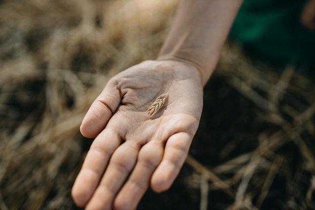 A close-up shot of a farmer's hands holding a handful of healthy soil, symbolizing sustainable farming practices and environmental stewardship.