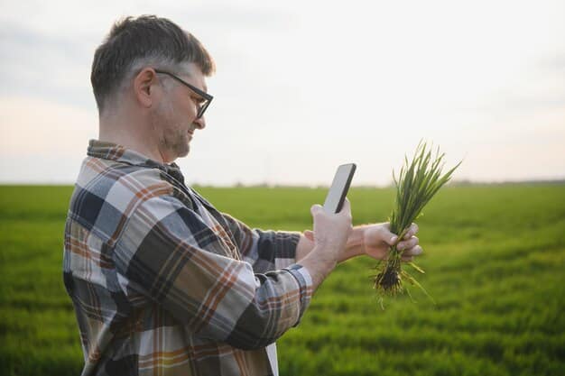 A farmer inspecting a lush cover crop in a field, highlighting the benefits of sustainable agriculture practices.